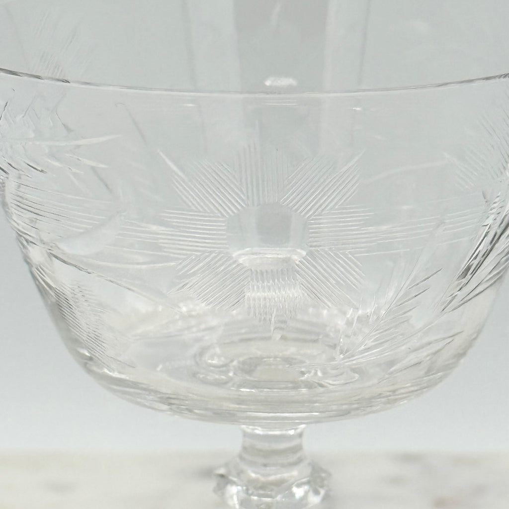 Vintage Cambridge Maryland Pattern Crystal Champagne / Sherbet Coupe Glasses, Set of 6