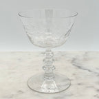 Vintage Cambridge Maryland Pattern Crystal Champagne / Sherbet Coupe Glasses, Set of 6